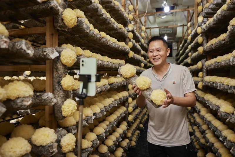电商平台开发趋势洞察：引领未来商业新潮流